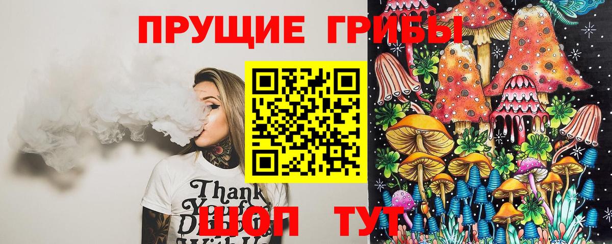 Моздок  где можно купить наркотик  Вход с VPN  Галлюциногенные грибы Cubensis 